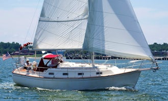 34' Island Packet Sailboat in Naples