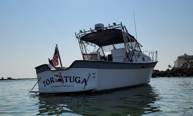 Aluguel de iates a motor “Tortuga” Luhrs Craft Alura em Clearwater, Flórida