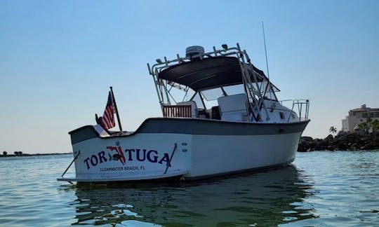 ''Tortuga'' Luhrs Craft Alura Motor Yacht Rental in Clearwater, Florida