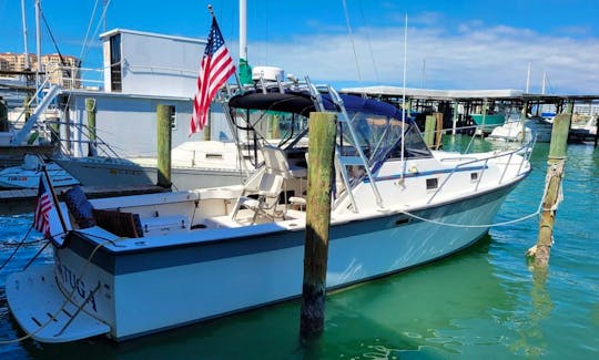 ''Tortuga'' Luhrs Craft Alura Motor Yacht Rental in Clearwater, Florida