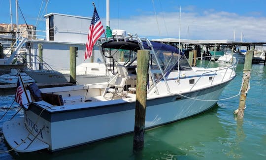 ''Tortuga'' Luhrs Craft Alura Motor Yacht Rental in Clearwater, Florida