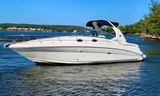 Sea Ray 34ft Yacht Rental for up to 10 people
