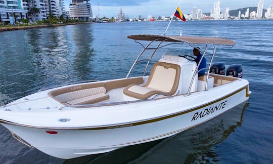 Private and exclusive boat 29FT  for all day fun in Cartagena.
