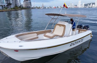 Private and exclusive boat 29FT  for all day fun in Cartagena.