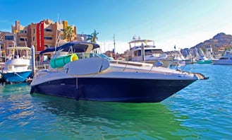 Sea Ray 37ft Yacht for Cruising and Whale Watching in Cabo San Lucas