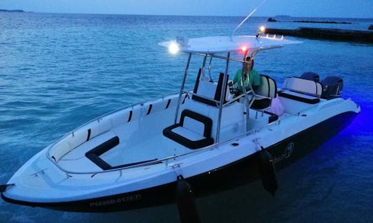 26' Center Console Fishing Trips in AA atoll.