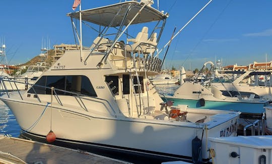 35´ Cabo Flybridge in Cabo San Lucas