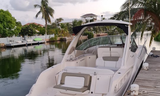 31ft SeaRay Sundancer Luxury Boat Chartering in Grand Cayman