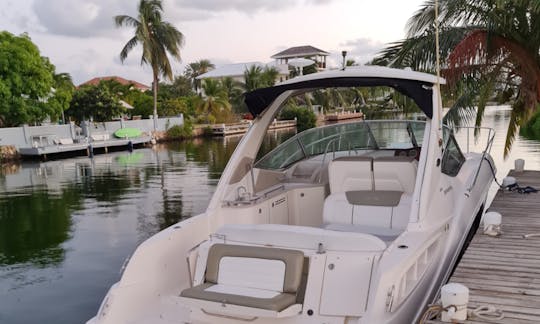 Alquiler de barcos de lujo SeaRay Sundancer de 31 pies en Gran Caimán