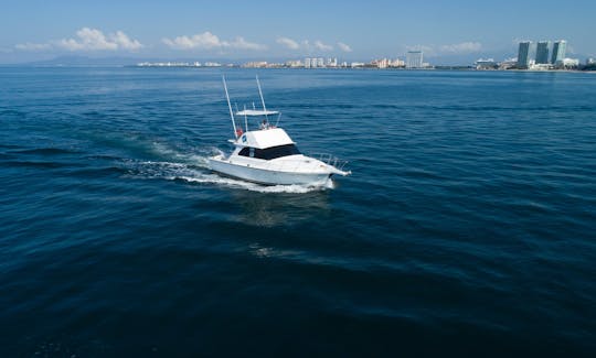 Bertram 38' Fishing Boat in Puerto Vallarta