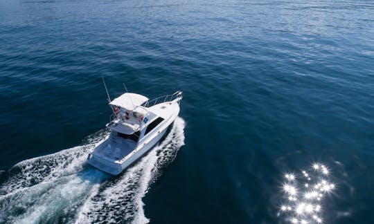 Bertram 38' Fishing Boat in Puerto Vallarta