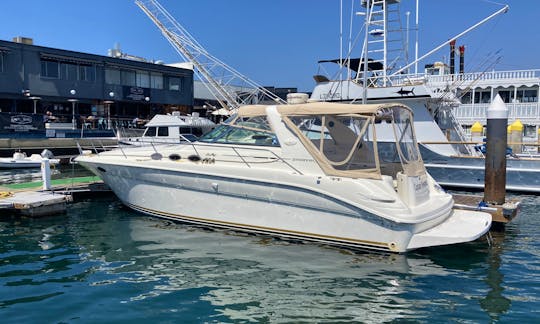 SeaRay 3700 Yacht for Charter in Newport Beach