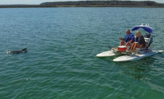 Custom Creek Cat Wildlife Motor Boat Adventure!