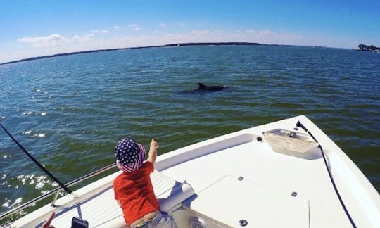 Passeio privado com golfinhos na Ilha Hilton Head