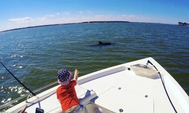 Recorrido privado con delfines en la isla de Hilton Head