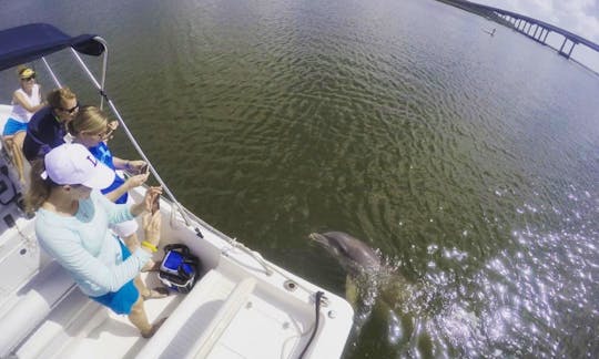 Private Dolphin Tour on Hilton Head Island