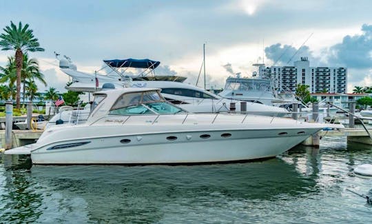 💥Hit the Water in Style with this 51' SEA RAY Motor Yacht for up to 12 people