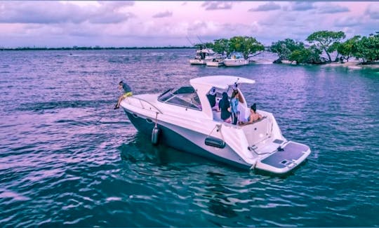 💥Hit the Water in Style with this 32' SEA RAY for up to 10