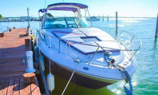 SeaRay Sundancer 330 Yacht for 6hrs + Jetski!!