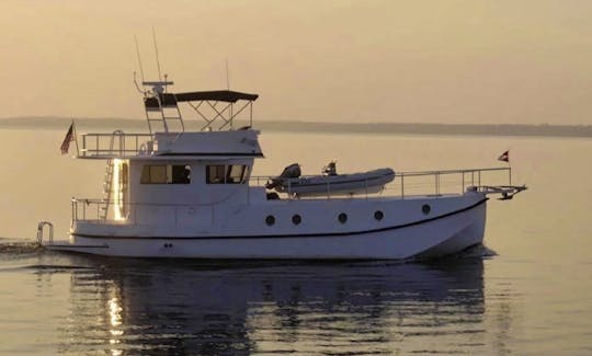 Great Harbour Trawler 50ft Luxury Private Tour and Dolphin Sightseeing Cruise