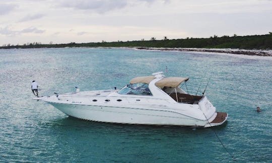 Sea Ray Sundancer 45ft in Playa del Carmen