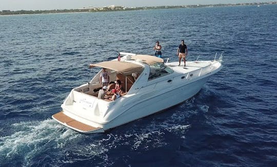 Sea Ray Sundancer 45ft in Playa del Carmen