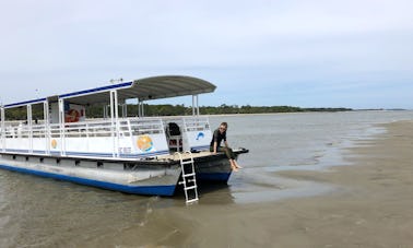 Ilha que desaparece na maré baixa e aventura com golfinhos em Hilton Head Island!