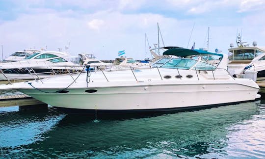 46’ Sea Ray (KMB #8) - Perfect for Parties!