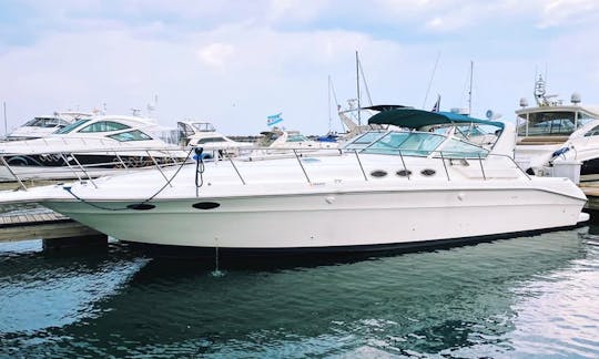 46’ Sea Ray (KMB #8) - Perfect for Parties!