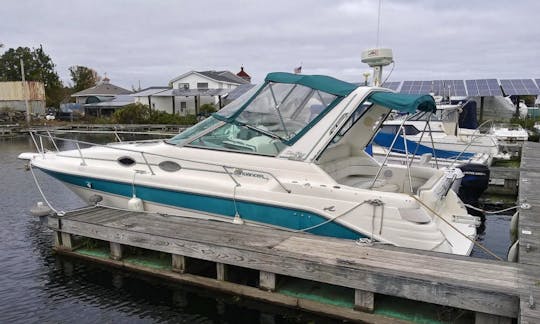 33’ Sea Ray Cruiser - AFFORDABLE and GREAT for Parties up to 9 guests (KMB #8)