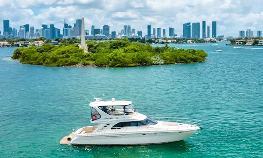 Sea Ray 60ft Luxury Yacht for Charter in Miami Beach