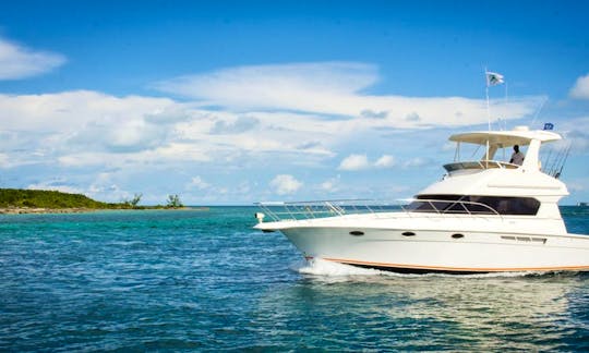 Full Day Fishing Trip in Nassau onboard 42' Silverton Yacht
