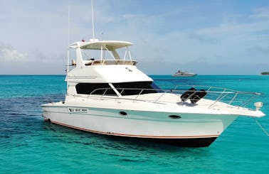8-Hour Beach Trip in Nassau aboard 45' Silverton Motor Yacht