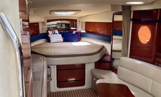 Sea Ray 40ft Yacht Immaculate Cruiser for 13 Person in Miami