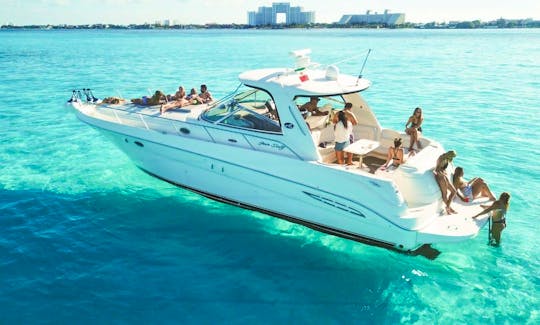 Gorgeous 46 ft Sea Ray in Cancun and Isla Mujeres holds 20 people
