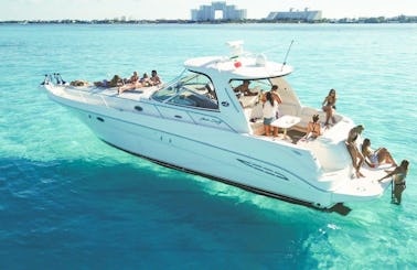 Gorgeous 46 ft Sea Ray in Cancun and Isla Mujeres holds 20 people