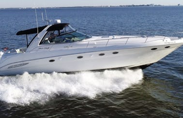 Rent this Yacht for only $100 per hour plus Crew Fuel and Cleaning. Party with style on a luxury 52’ Sea Ray Sundancer with great stereo system and pool floating platform.