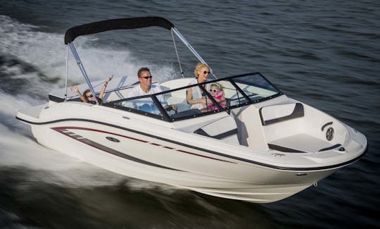 SeaRay 190 SPX ボート、200 PS、Vir