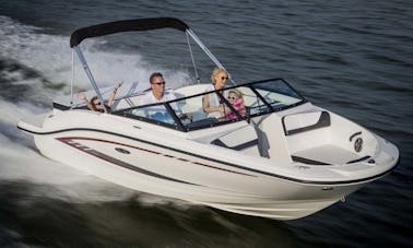 Bateau SeaRay 190 SPX avec 200 PS à Vir