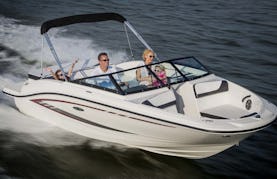SeaRay 190 SPX boat with 200 PS in Vir