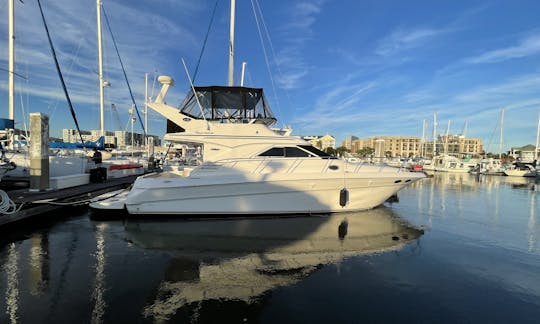 Sea Ray 40’ Sedan Bridge Flybridge for Full Service Cruise in Charleston!