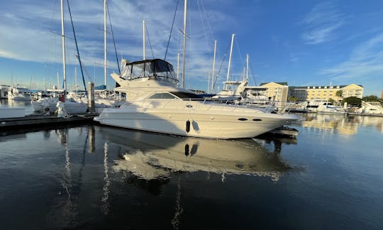 Sea Ray 40’ Sedan Bridge Flybridge for Full Service Cruise in Charleston!