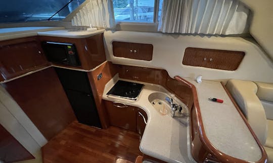 Sea Ray 40’ Sedan Bridge Flybridge for Full Service Cruise in Charleston!