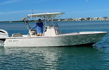 Seaborn LX24 Center Console for Charter! Relax at Hart Miller Island! Essex MD