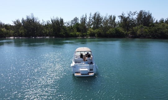 31’ SEARAY SUNDANCER for Charter IN MIAMI