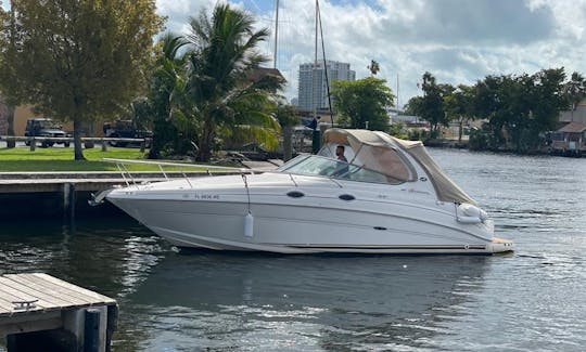 31’ SEARAY SUNDANCER for Charter IN MIAMI