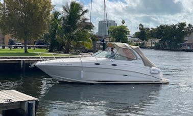 31' SEARAY SUNDANCER para alugar em MIAMI