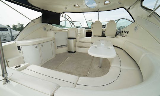 **VIP** Yacht Charter em um iate Formula de 53 pés com plataforma de natação hidráulica.