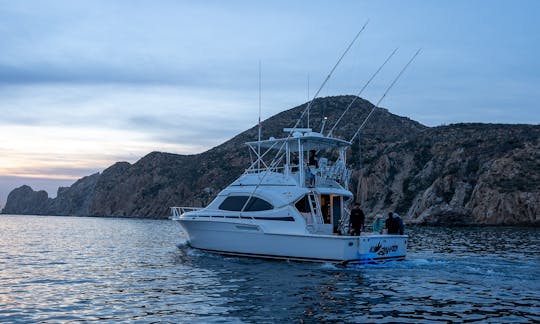 Excursion de pêche sportive Bertram Charters de 48 pieds d'une journée complète de 8 heures