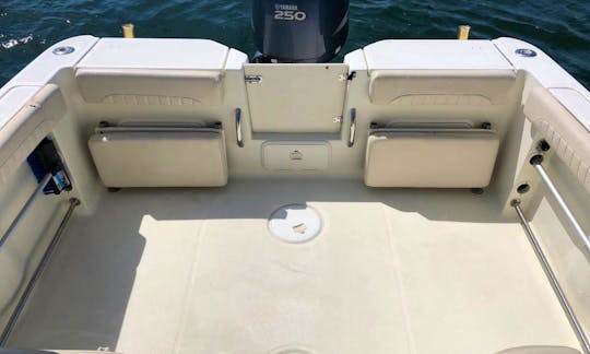 These are " Pop up" seats that are in lowered position. These can be lowere dout of way for fishing, or popped up for extra seating. Cushions are not
